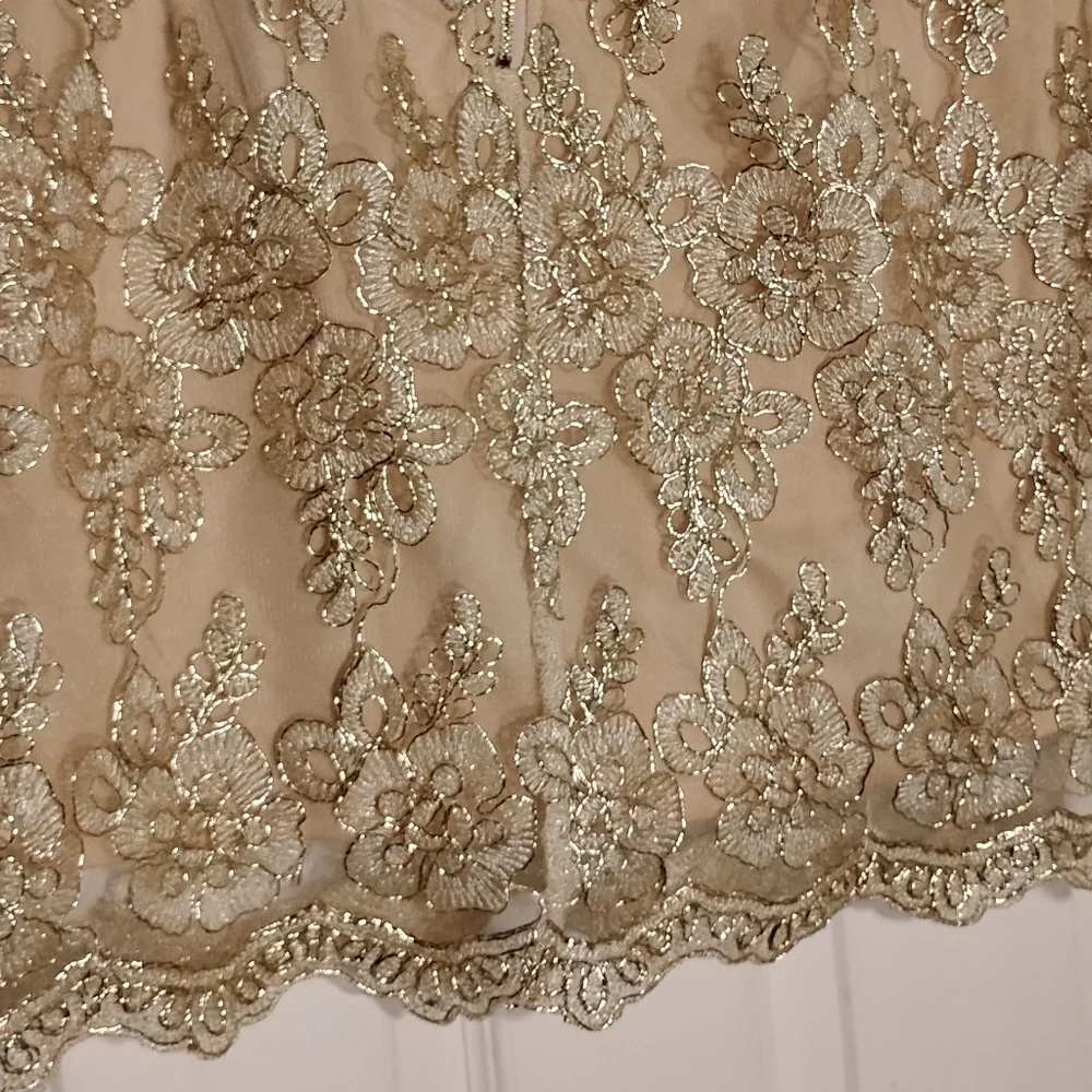 Mini Pencil Skirt Lace Windsor XL